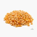 Maíz Curagua (Pop Corn)