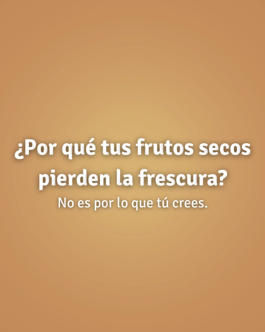 517644792 17901562434212807 4005902702056609115 n